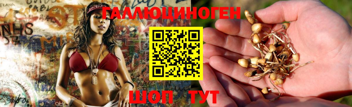 Галлюциногенные грибы MAGIC MUSHROOMS  Вход с VPN  Анапа  Галлюциногенные грибы Magic Shrooms 